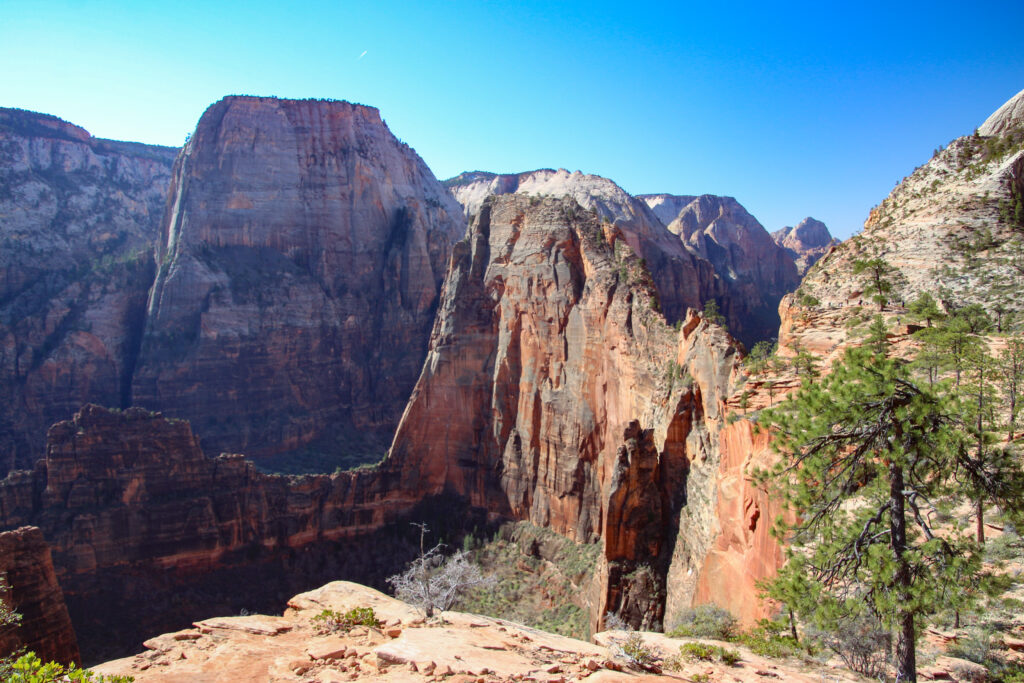 A panoramic view of red rock cliffs under a clear blue sky in Zion National Park.